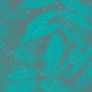 Meet your Posher, Hanan